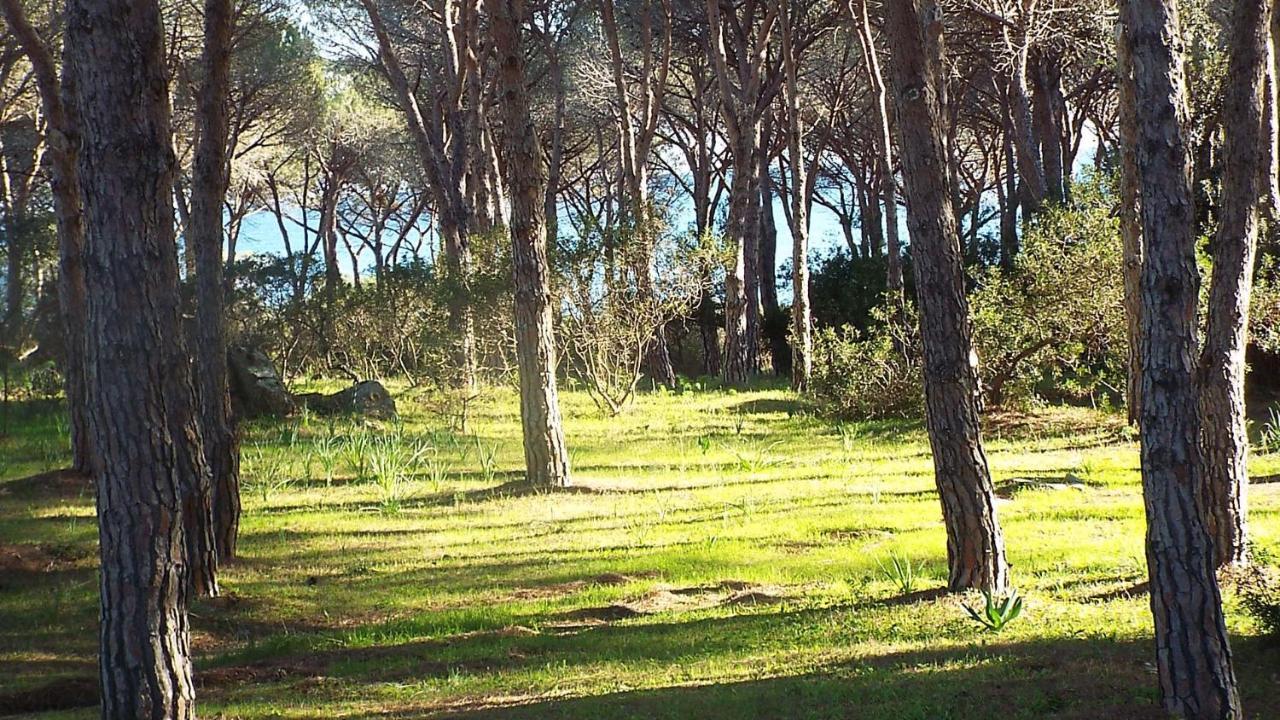 Villetta Con Giardino A Budoni Dış mekan fotoğraf