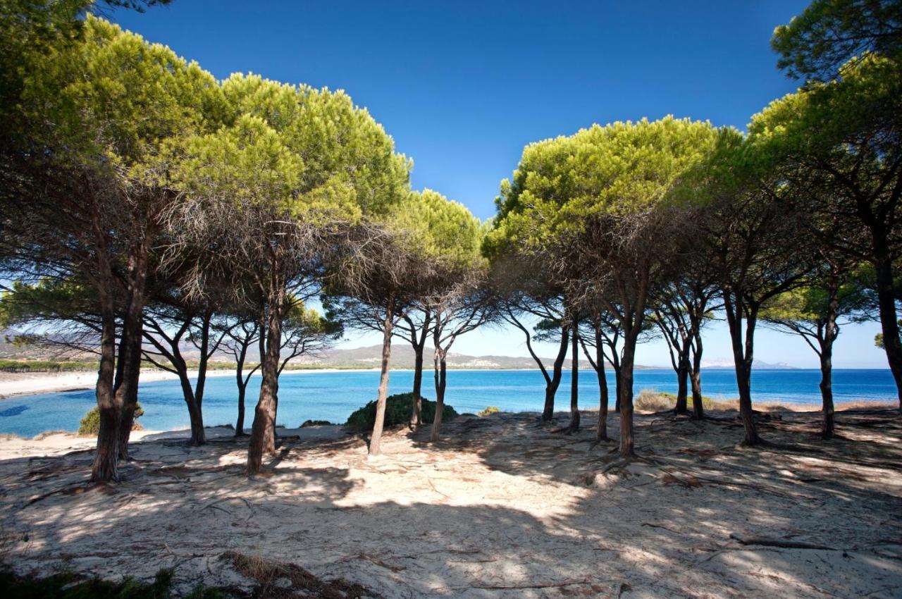 Villetta Con Giardino A Budoni Dış mekan fotoğraf